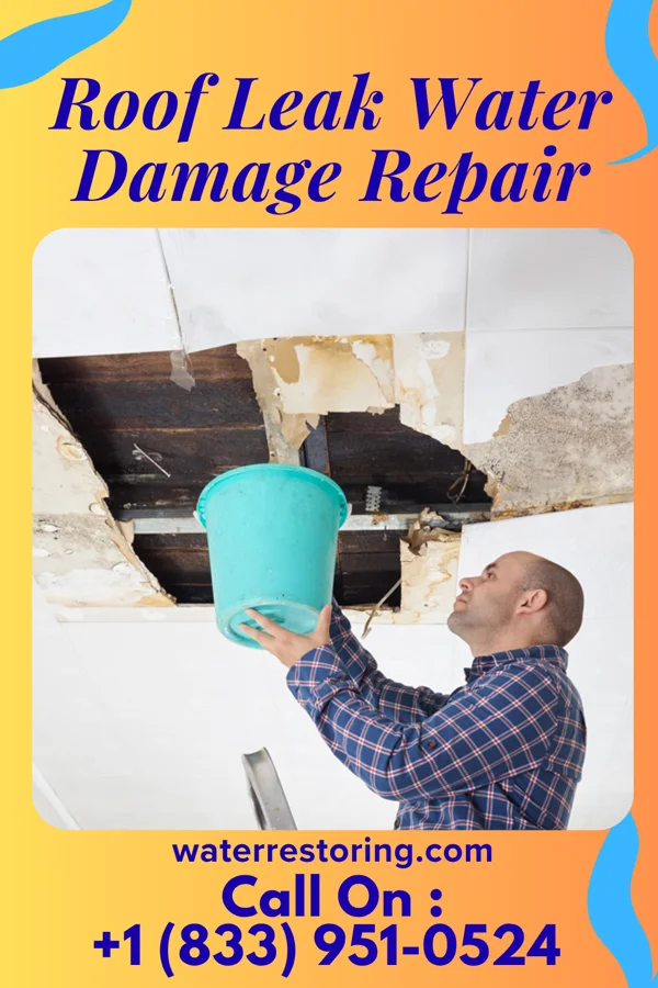 Roof Leak Water Damage Repair in Greenbriar, FL